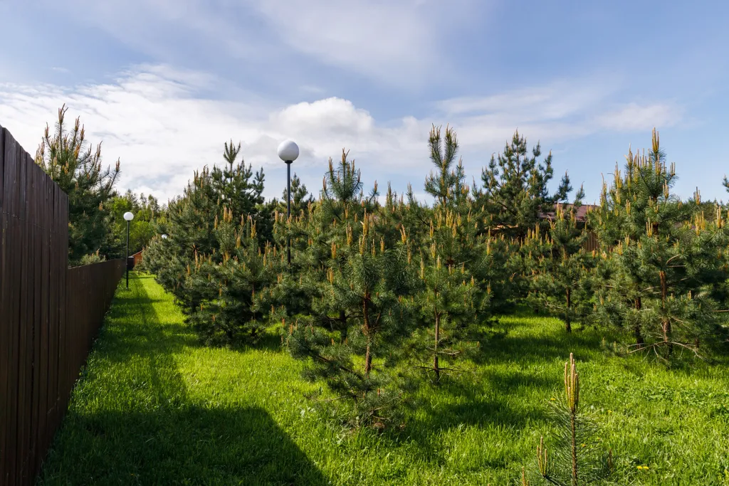 Коттедж 44м в лесу у пруда