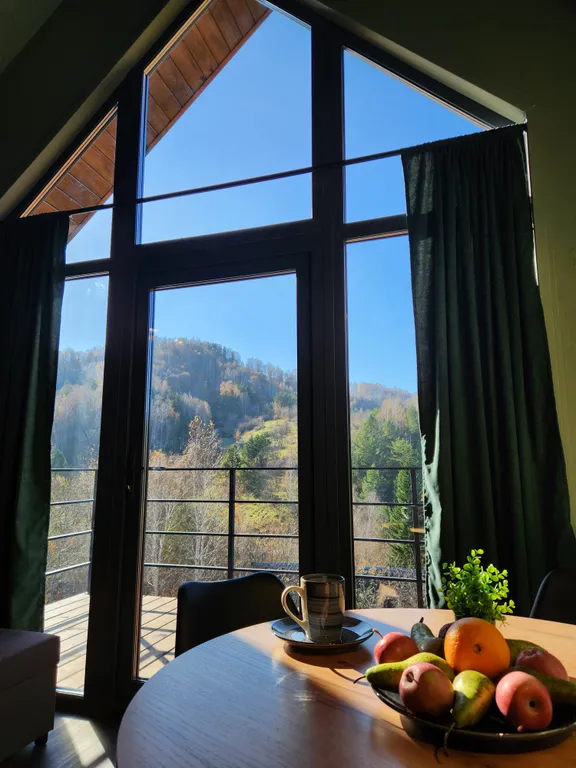 Новый барнхаус на горе - 11 гор Алтая (Белокуриха)