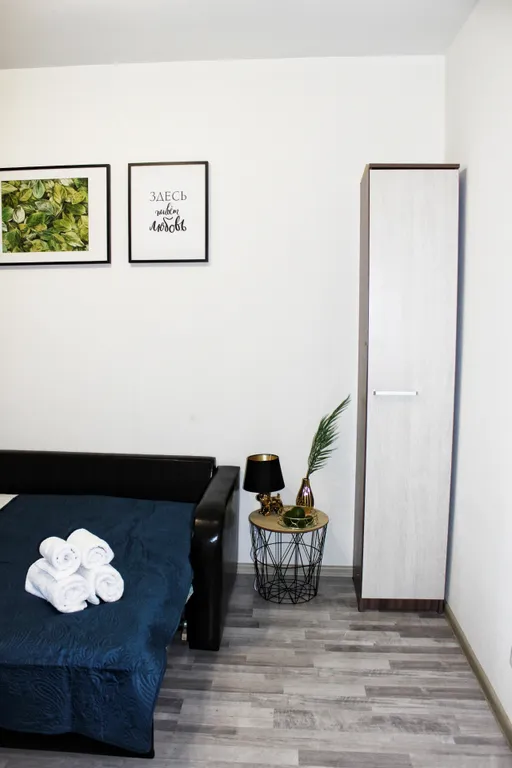 Уютная квартира возле станции Пушкино