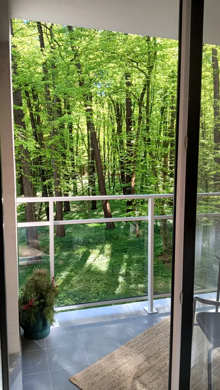 Квартира Квартира с видом на сосновый лес — Светлогорск