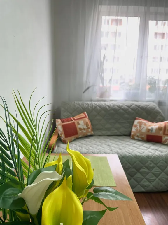 Нежный Ирис