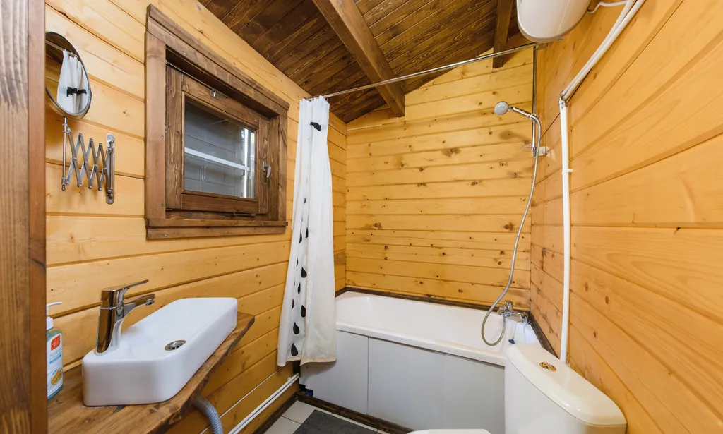 Коттедж 3-комнатный Дом — Запорожское