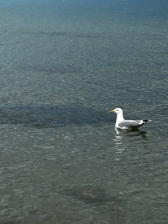 Новая двухкомнатная квартира на море