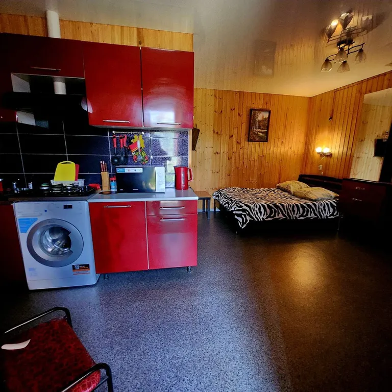 Студия с террасой