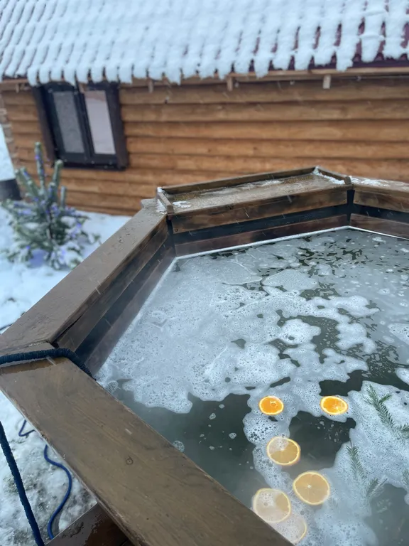 Обустроенная усадьба с камином на Нарочи