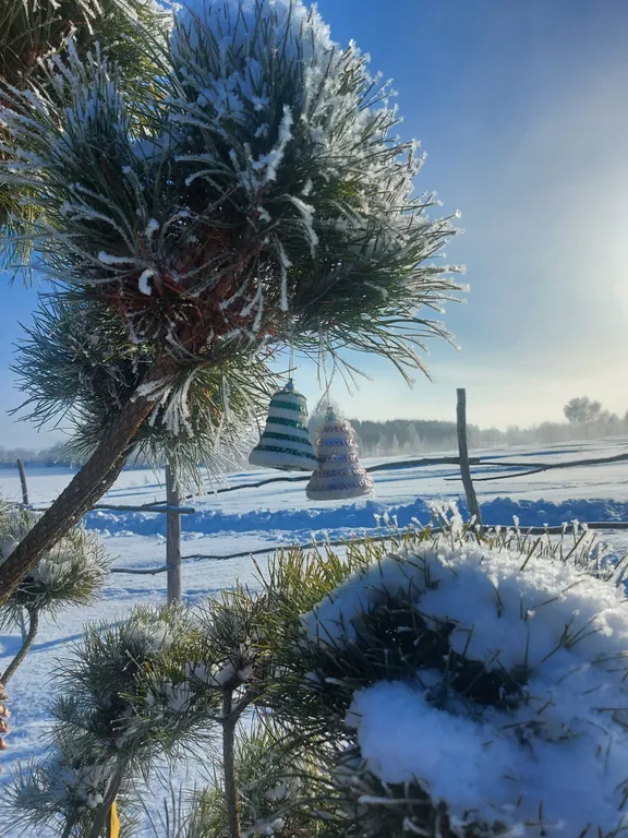 Милый домик в деревне, с видом на озеро