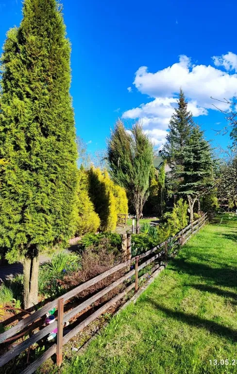 Поместье-Парк на Стрелке