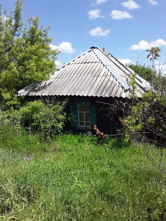 Дом в красивом тихом месте на реке Дон