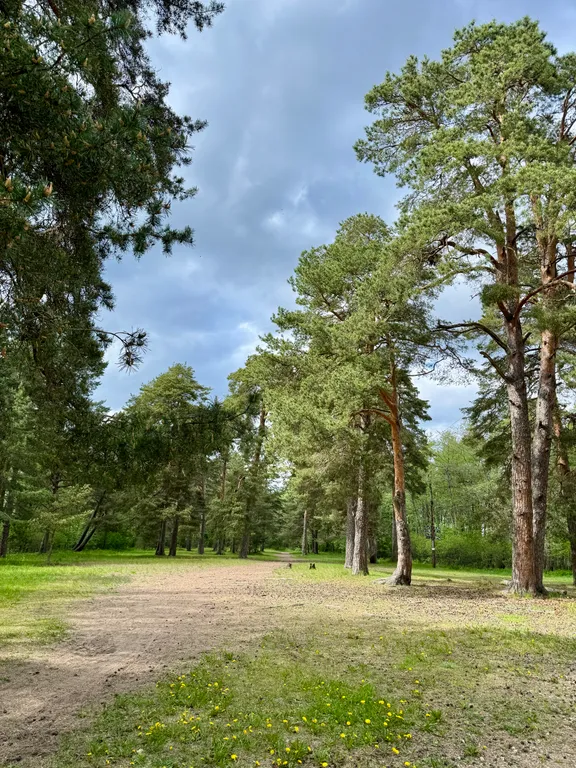 Новый загородный дом Lень на юге Ленинградской области
