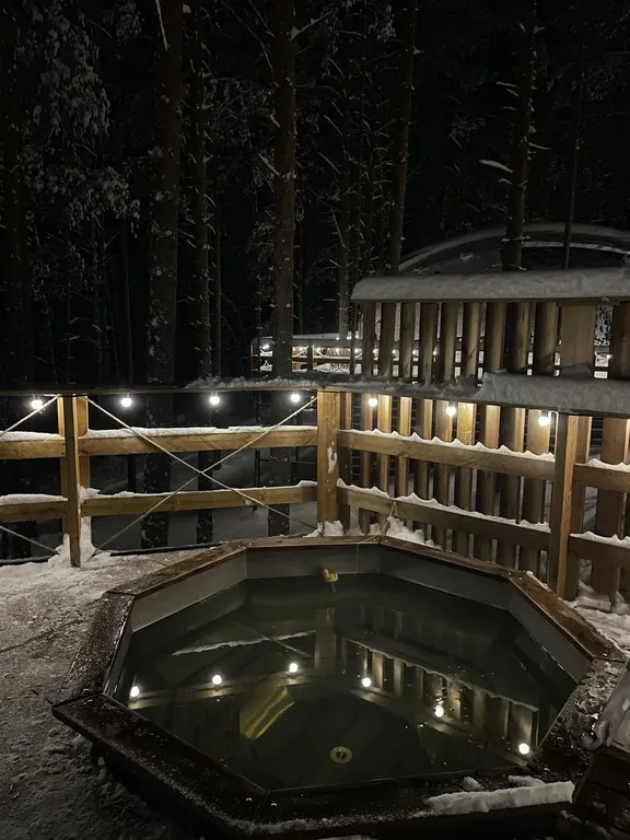 Коттедж Лесной дом лодж с купелью — Четверяково