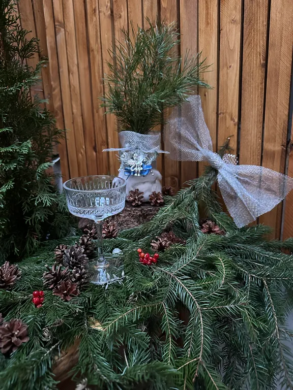 Vip квартира