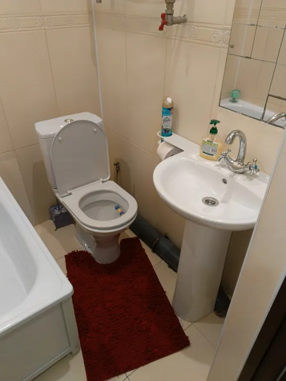 Уютная однокомнатная квартира