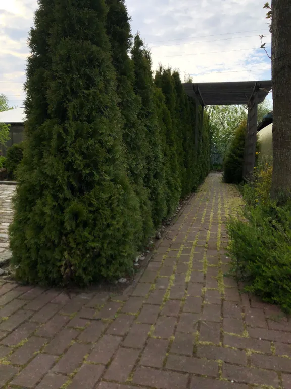 Коттедж Уютный дом у моря — Зеленоградск