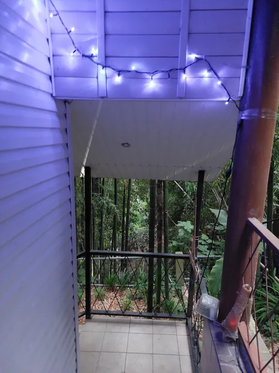 Дом в бамбуках в 500 метрах от моря