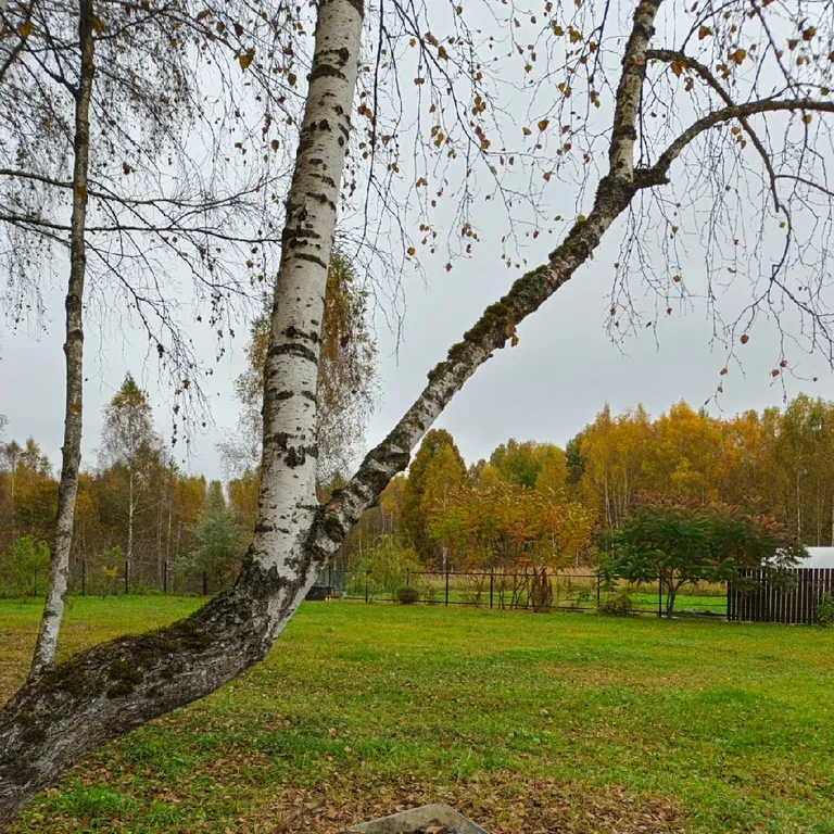 Дом с баней в национальном парке Угра