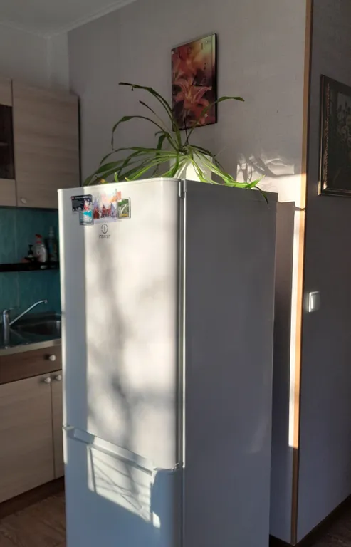 1 комнатная квартира в тихом районе с озером (3 гостя)