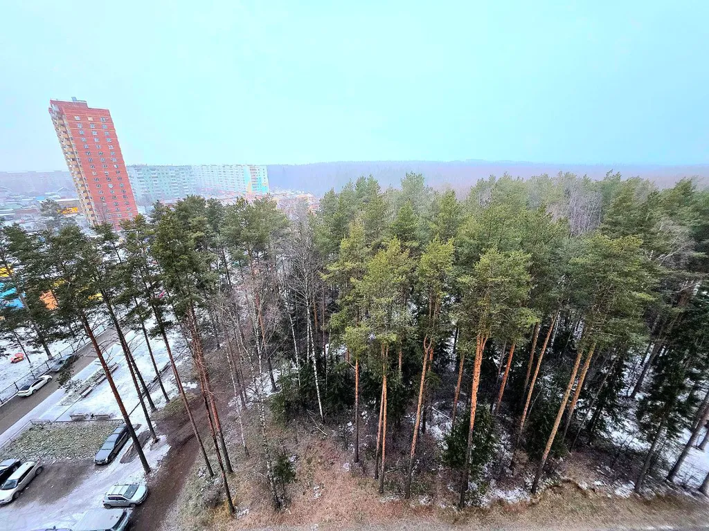 ЖК Боровики - полноценная двухкомнатная квартира