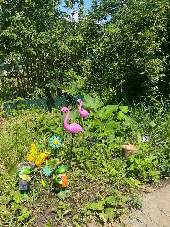 Дача напротив областной больницы