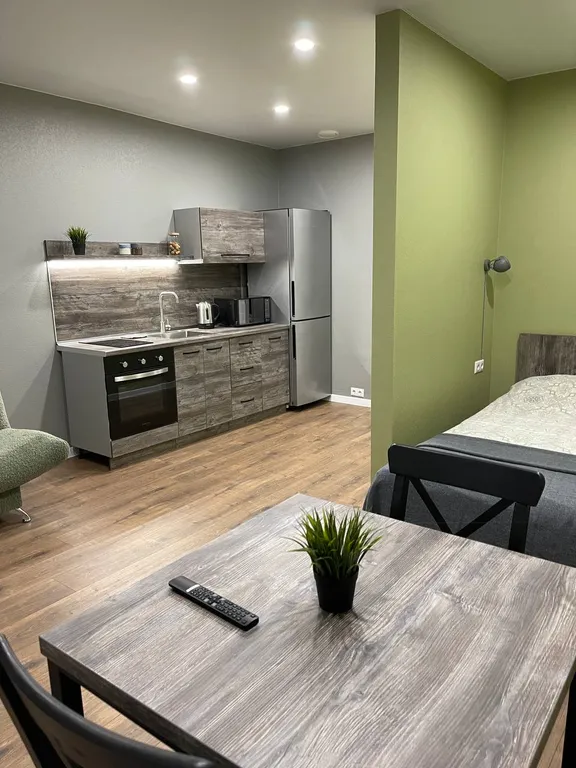 Квартира Студия Domus Дом Хельсинки Минск Мир — аренда посуточно в Минск