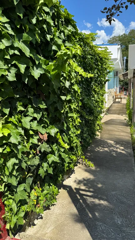 Дом Уединение - лес, река, барбекю-зона, сад, приватный уют