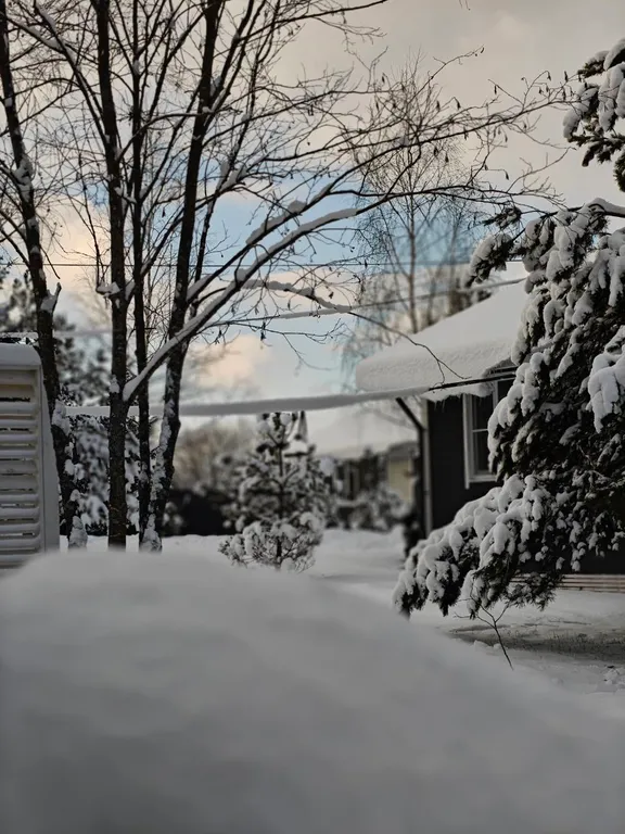 Дом с видом на реку и лес