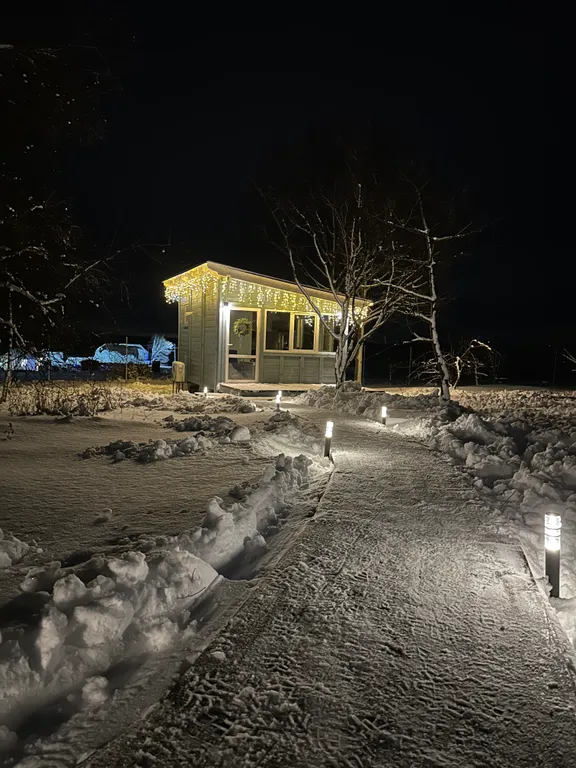 Дубки на Кудыкиной горе