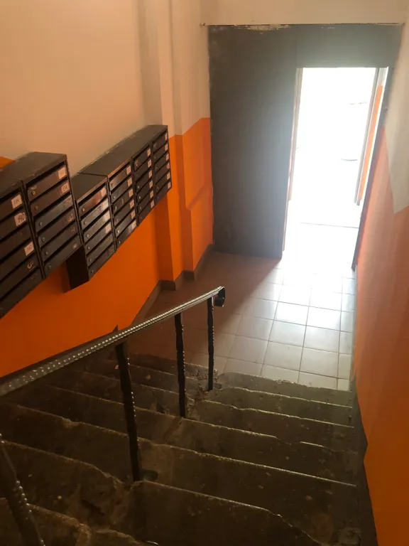 Современная квартира недалеко от СКАД