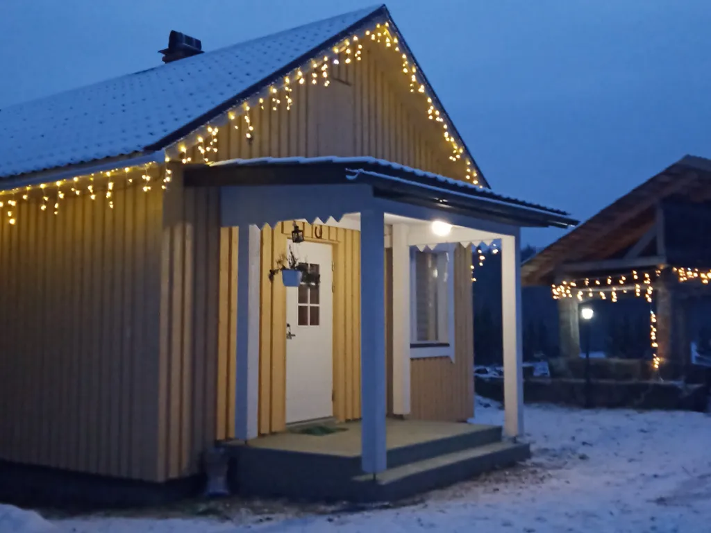 Дом в Карелии с печью-камином и видом на лес