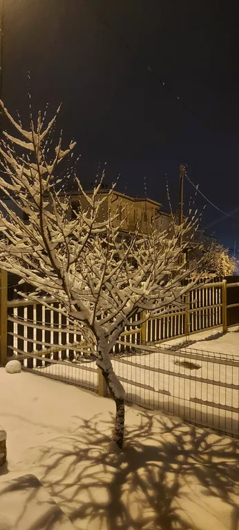 Тихое место