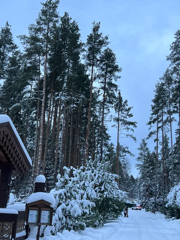 Апартаменты Ohta Hills