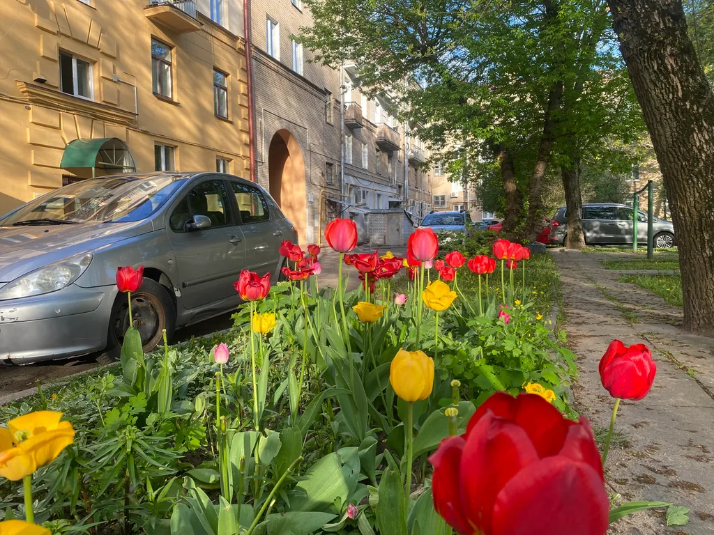 Квартира Квартира Opera house free parking — Минск