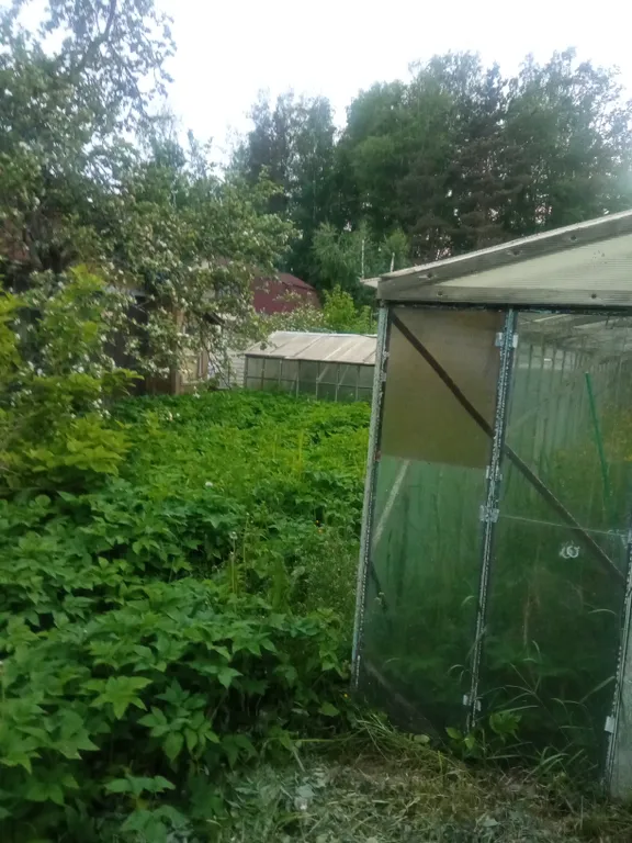 Дом у Канала