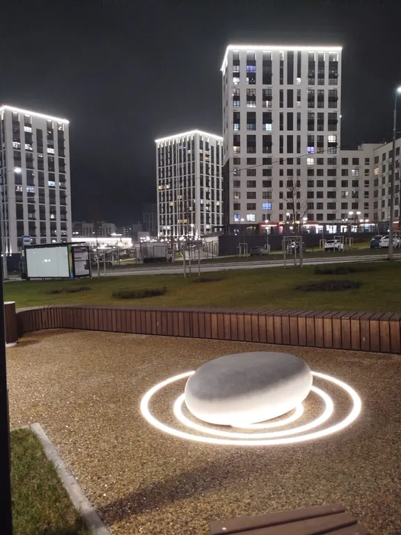 Просторная студия с видом на лес