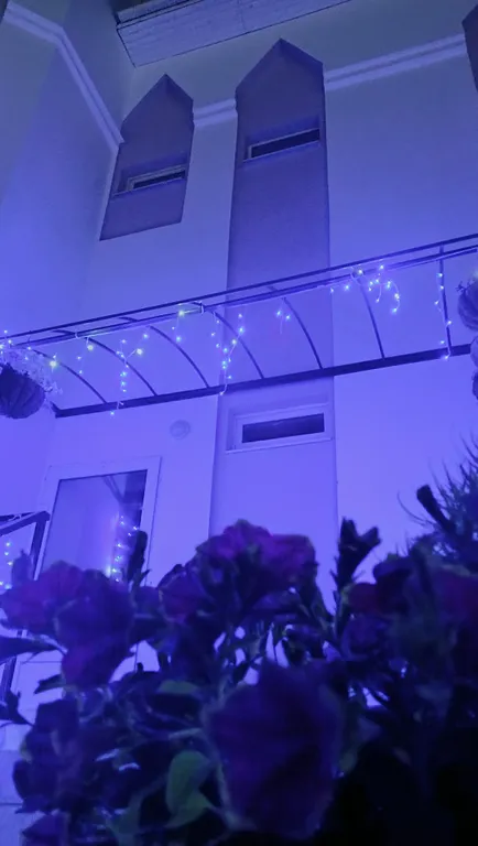 Коттедж с зимним садом и бассейном