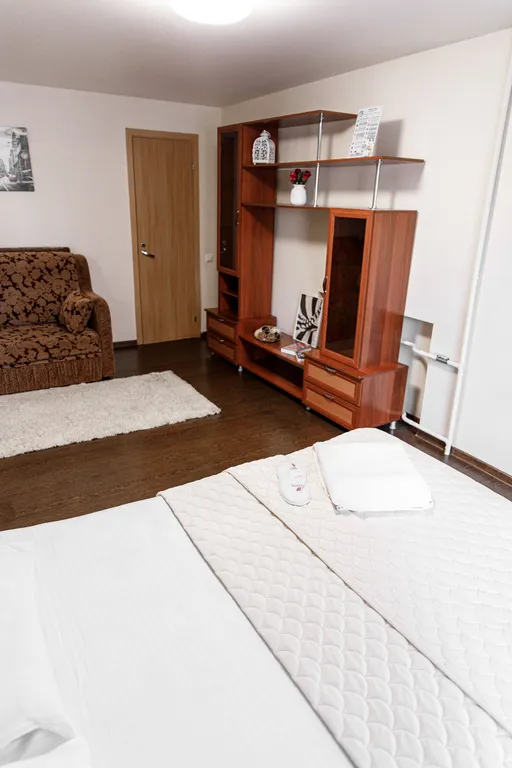 Уютная однокомнатная квартира в центре города