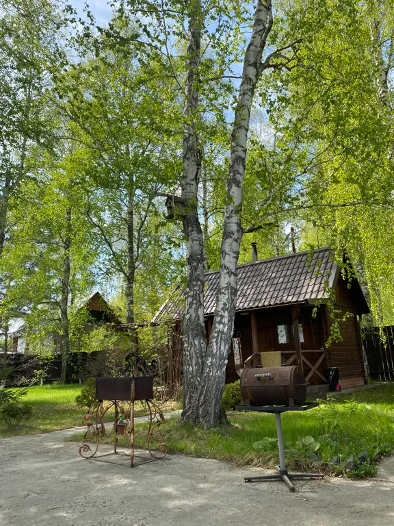 Гостевой дом в лесу