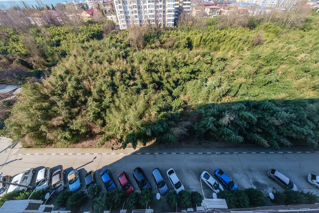 Квартира Квартира Апартамент с красивыми видами на море и горы — Сириус