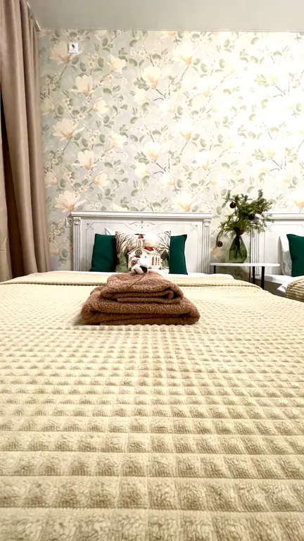 Рядом с центром, 4 раздельных спальных места командировочным