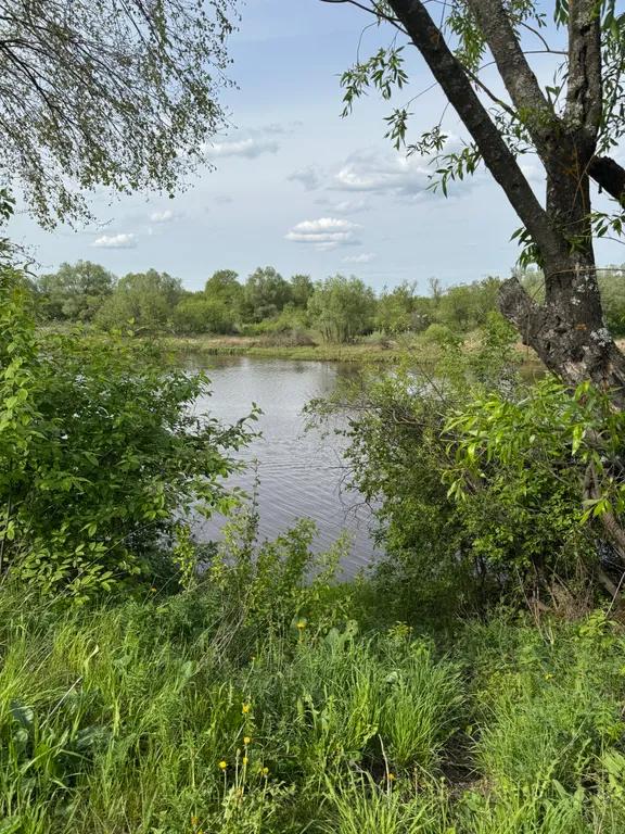 Уютный дом в Сосновом лесу