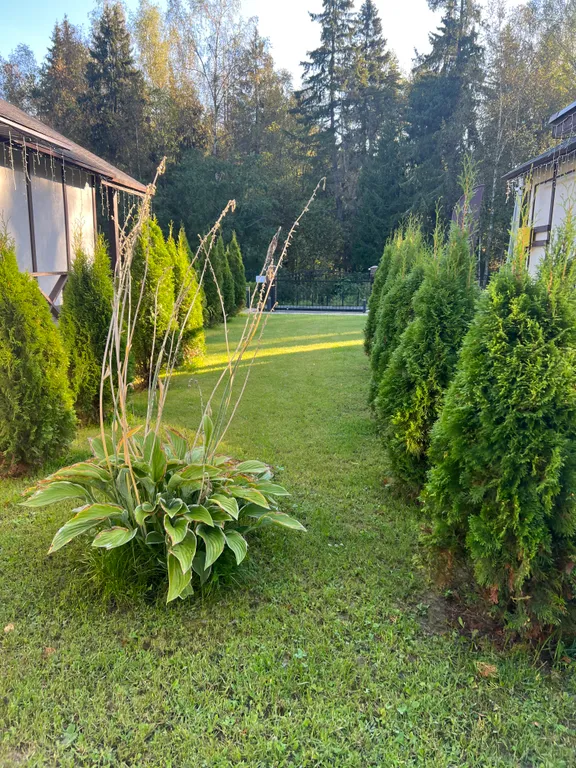 Уютный дом у леса