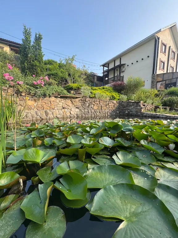 Эко домик лесника