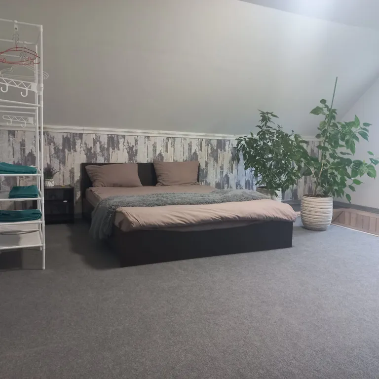 Уютный дом в сосновом лесу