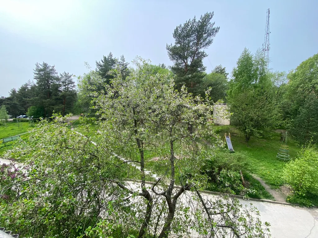 Уютная квартира с видом на цветущий двор