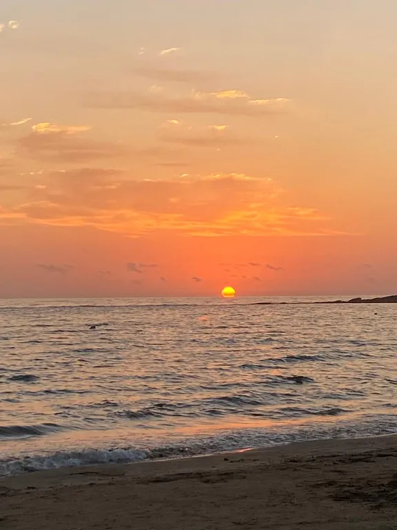 Квартира Супер-апартаменты Морской бриз на 1 линии у моря в сосновом бору — Светлогорск