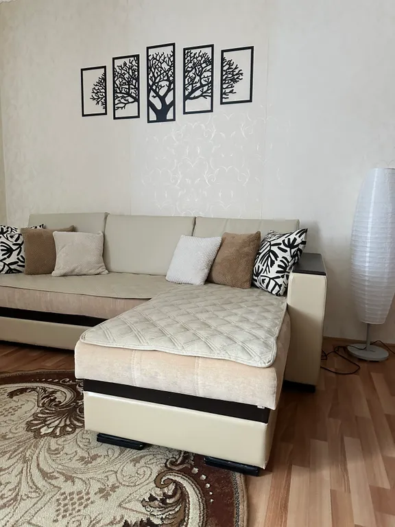 Уютная, просторная квартира