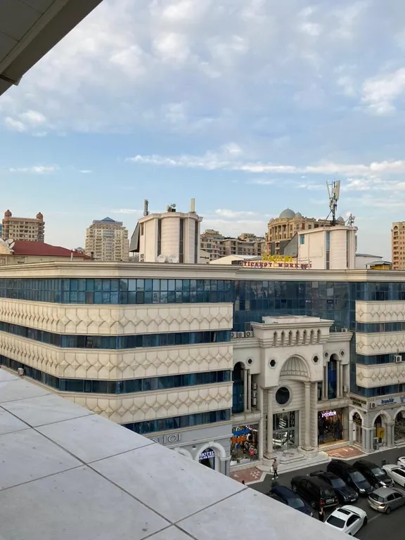 Лофт в центре Баку с видом на парк и Flame Tower