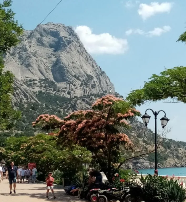 Уютная студия у моря