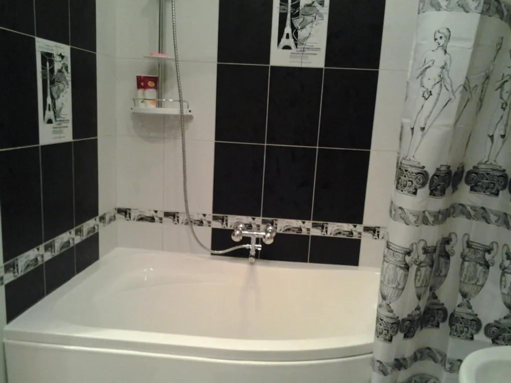 Уютная студия с видом на Современник и цирк