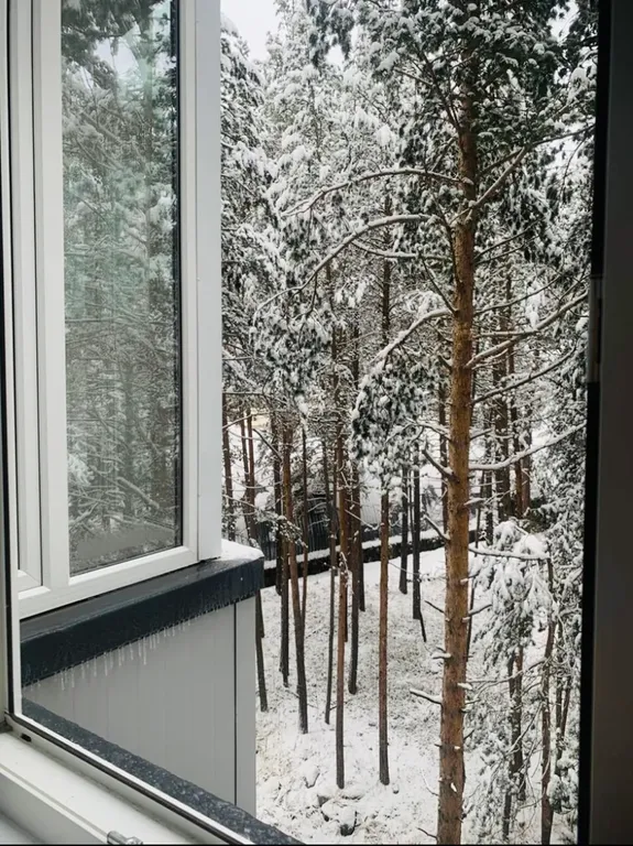 Уютная квартира в сосновом бору с видом на реку, лес и горы