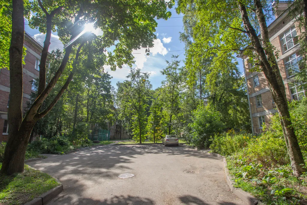 Квартира Уютная светлая квартира в центре — Пушкин